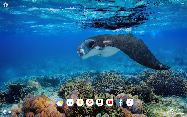 Manta Ray HD Wallpapers New Tab Theme