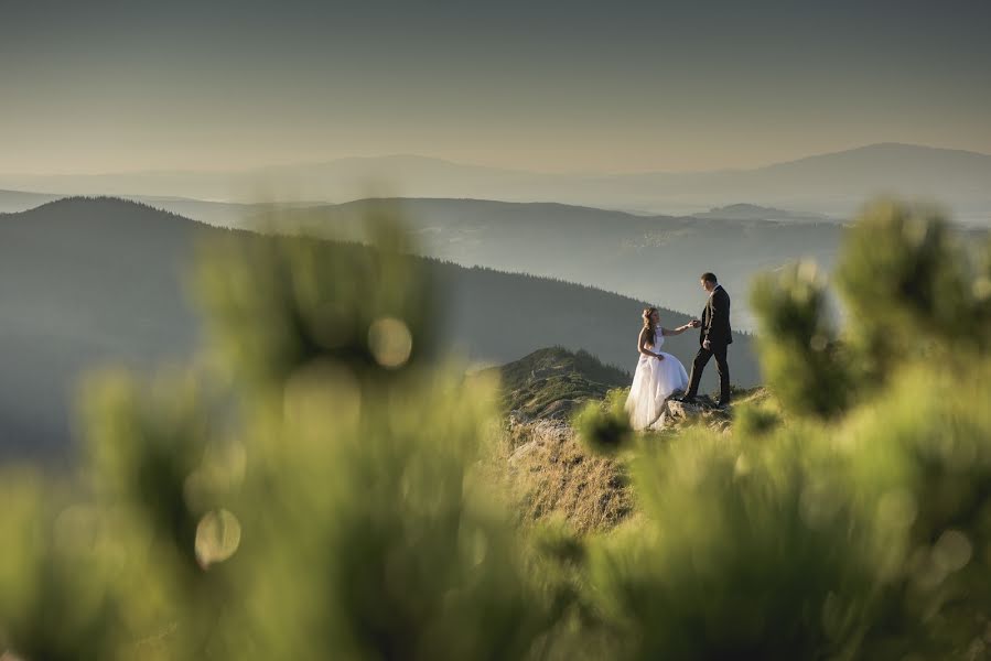 Photographe de mariage Maciej Niesłony (magichour). Photo du 8 décembre 2015