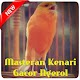 Download Masteran Kenari Gacor Ngerol Lengkap Offline For PC Windows and Mac 1.0