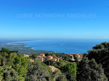 terrain à Sari-Solenzara (2A)