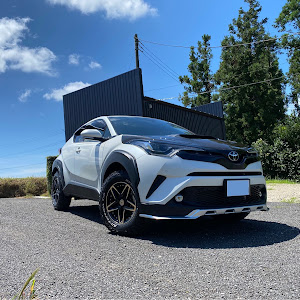 C-HR NGX50