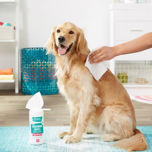 13 Clever Pet Products You Didn't Know You Needed | HGTV