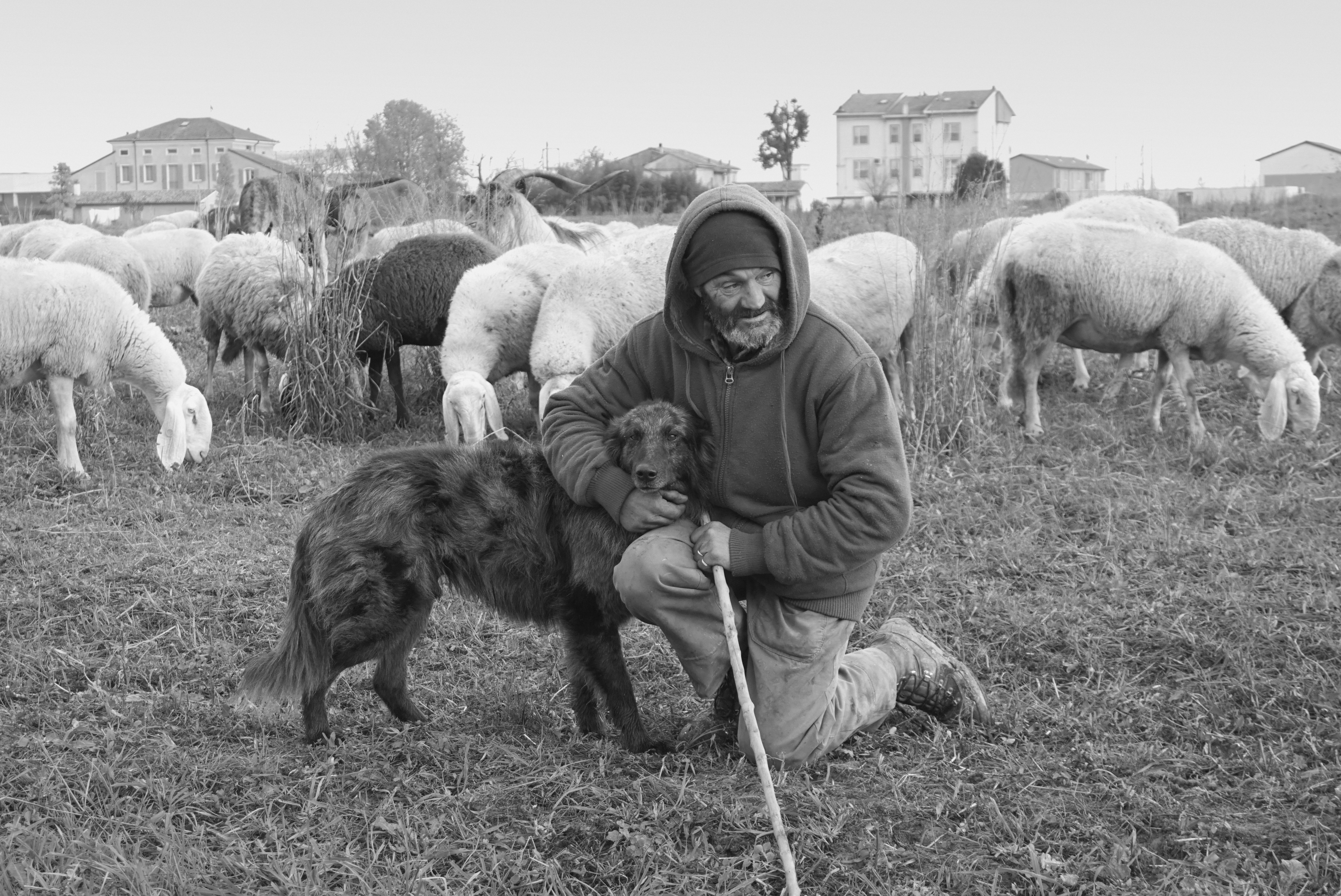 Il pastore e il suo cane di Furlissima