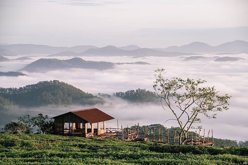 <i>Toàn cảnh cây cầu gỗ nhìn từ xa</i>