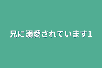 兄に溺愛されています1