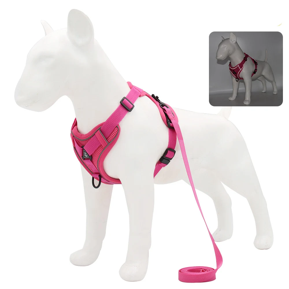 Title 10, Gilet avec laisse pour chiens, style harnais, c...