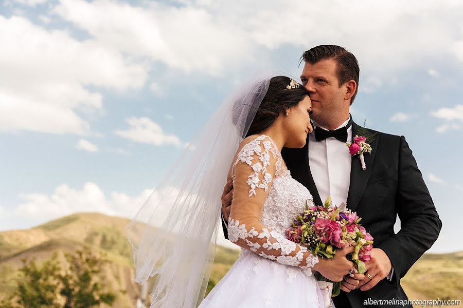 Fotografo di matrimoni Melina Pogosyan (melinapoghosyan). Foto del 30 aprile 2019