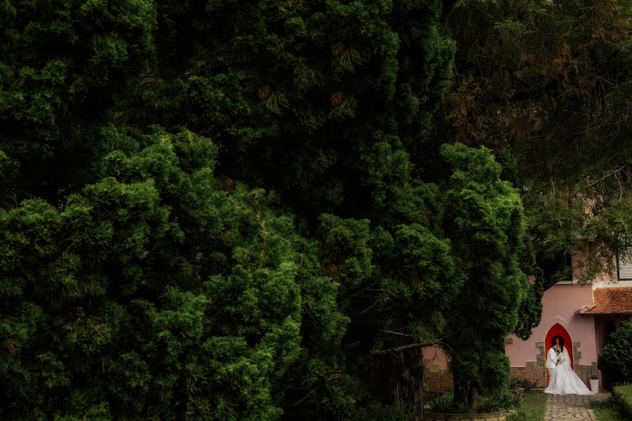 Fotógrafo de casamento Phạm Viết Phi (romstudios). Foto de 7 de outubro 2023