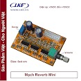 Mạch Reverb Mini Độ Ampli Loa Kéo, Vang Echo