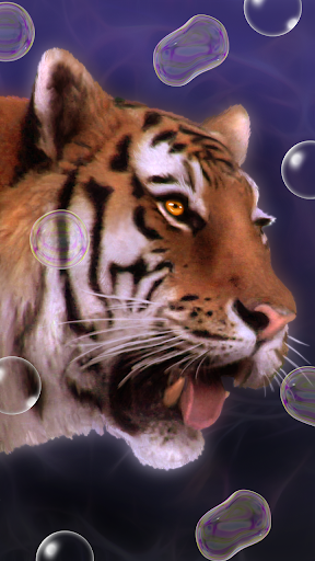 Tiger, live wallpaper