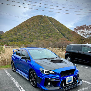 WRX S4 VAG