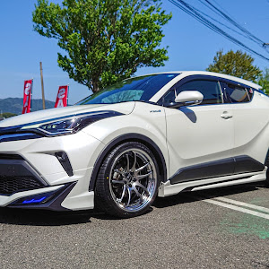 C-HR ZYX11