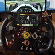 steering wheel display (dashboard)