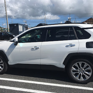 RAV4 MXAA54