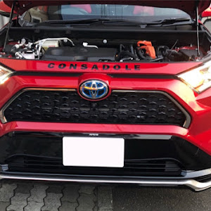 RAV4 AXAP54