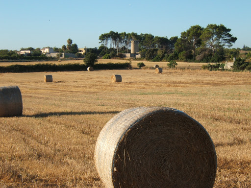 Santa Margalida