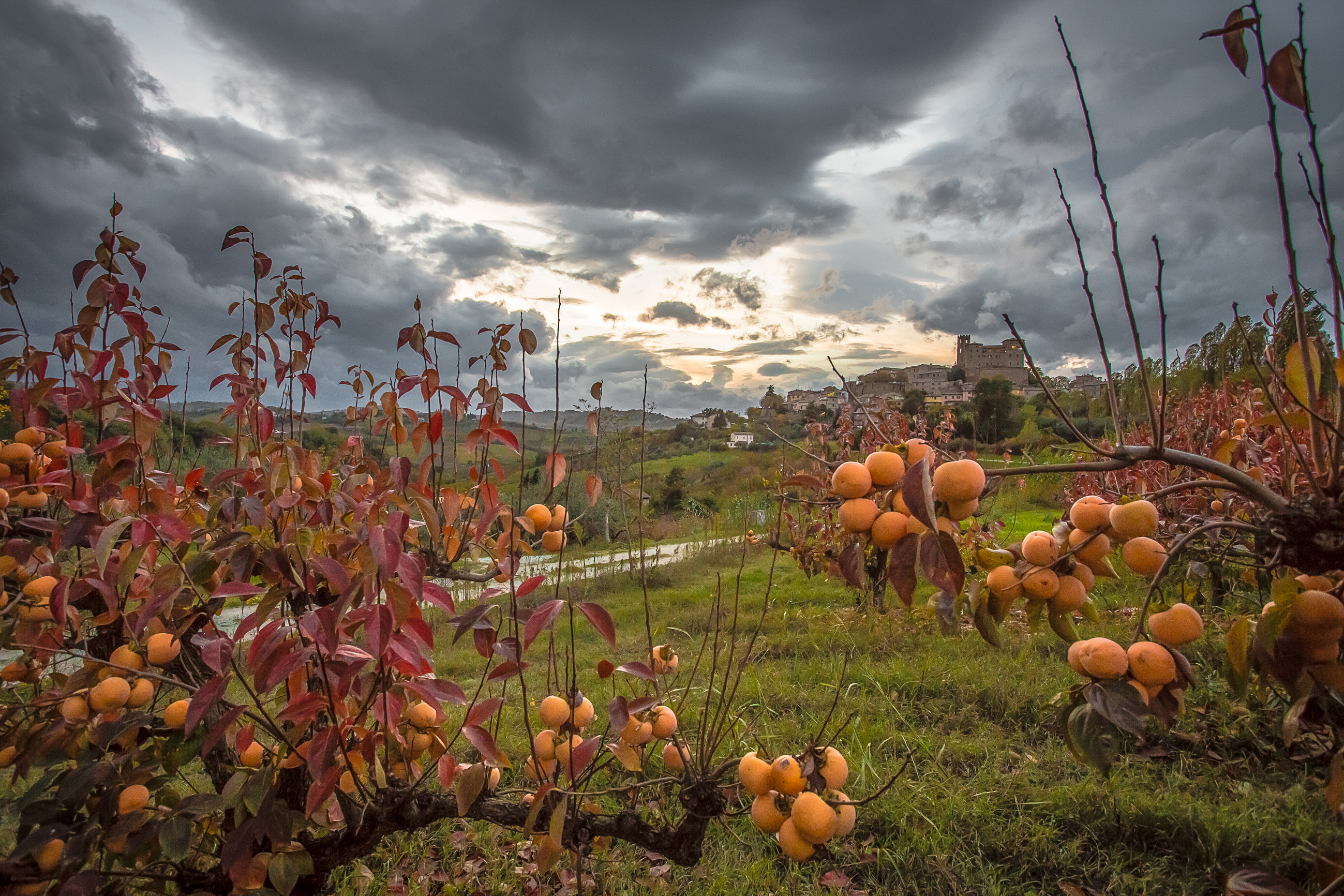 Autunno in campagna di Marcello Zavalloni