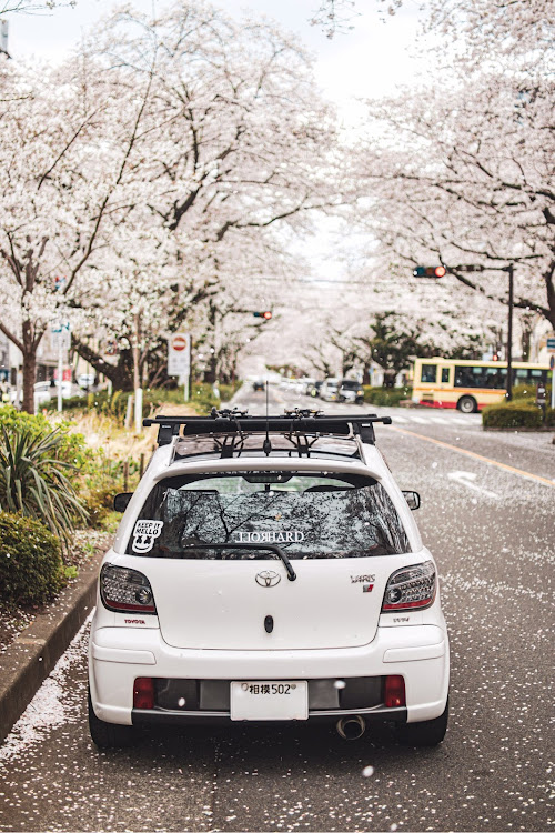 ヴィッツの桜と愛車・桜とコラボ・桜・ドライブ・CherryBlossomに関するカスタム事例の投稿画像9枚目