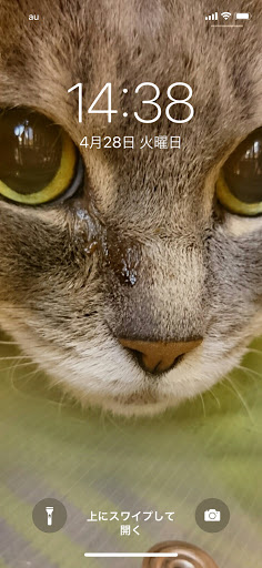 ランサーエボリューション の待ち受けバトン 猫 コロナウイルスに負けるなに関するカスタム メンテナンスの投稿画像 車のカスタム情報はcartune