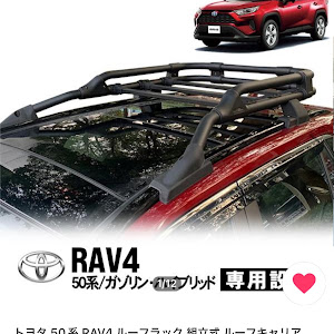 RAV4 MXAA54