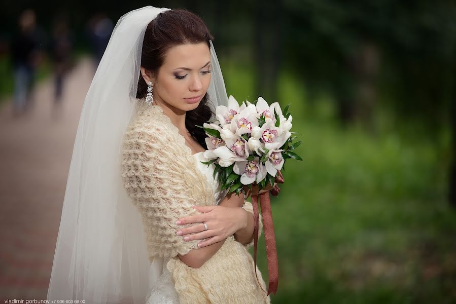 Wedding photographer Vladimir Gorbunov (vladigo). Photo of 23 January 2014