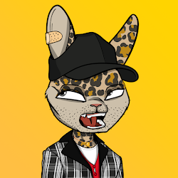 Mad Rabbit #2714