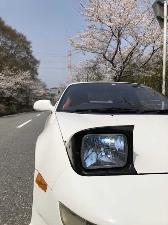 MR2の桜・MR2・MR2 SW20に関するカスタム事例の投稿画像2枚目