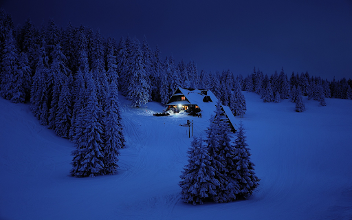 House in the snowy forest