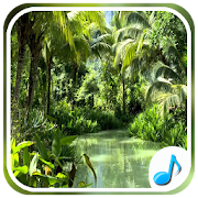 Jungle Sounds - Nature Sounds  Icon