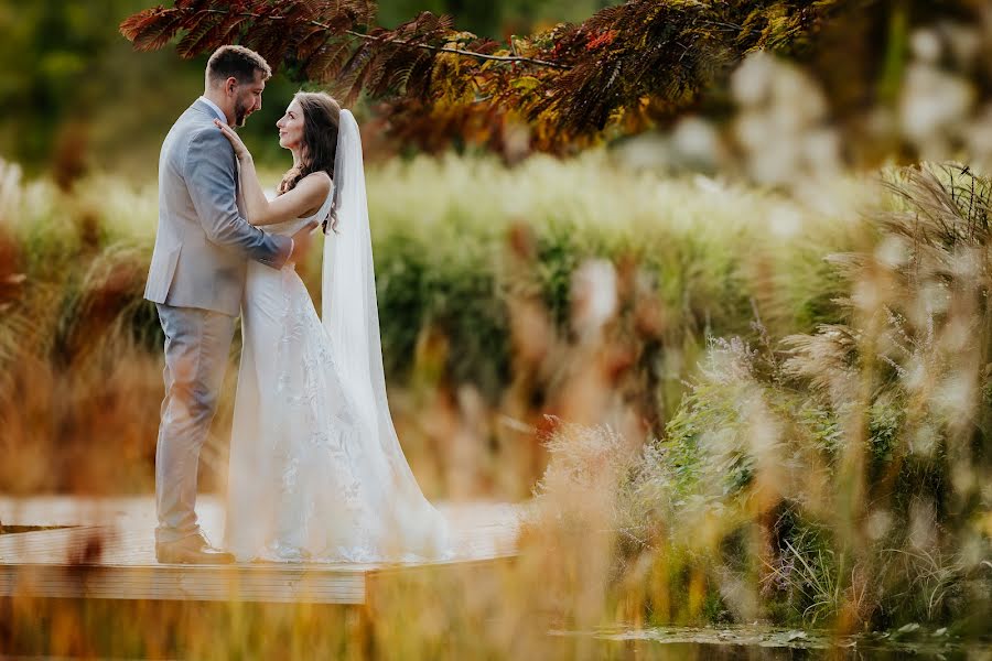 Photographe de mariage Dávid Moór (moordavid). Photo du 10 novembre 2023