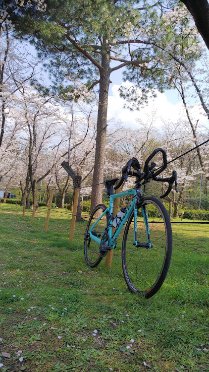 その他のロードバイク・サクラコラボ・Bianchiに関するカスタム事例の投稿画像1枚目