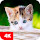 Cat Wallpaper HD Custom New Tab