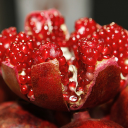 Red pomegranate