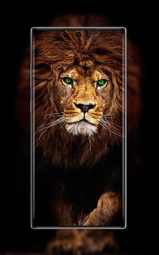 AMOLED Wallpapers  GIFs