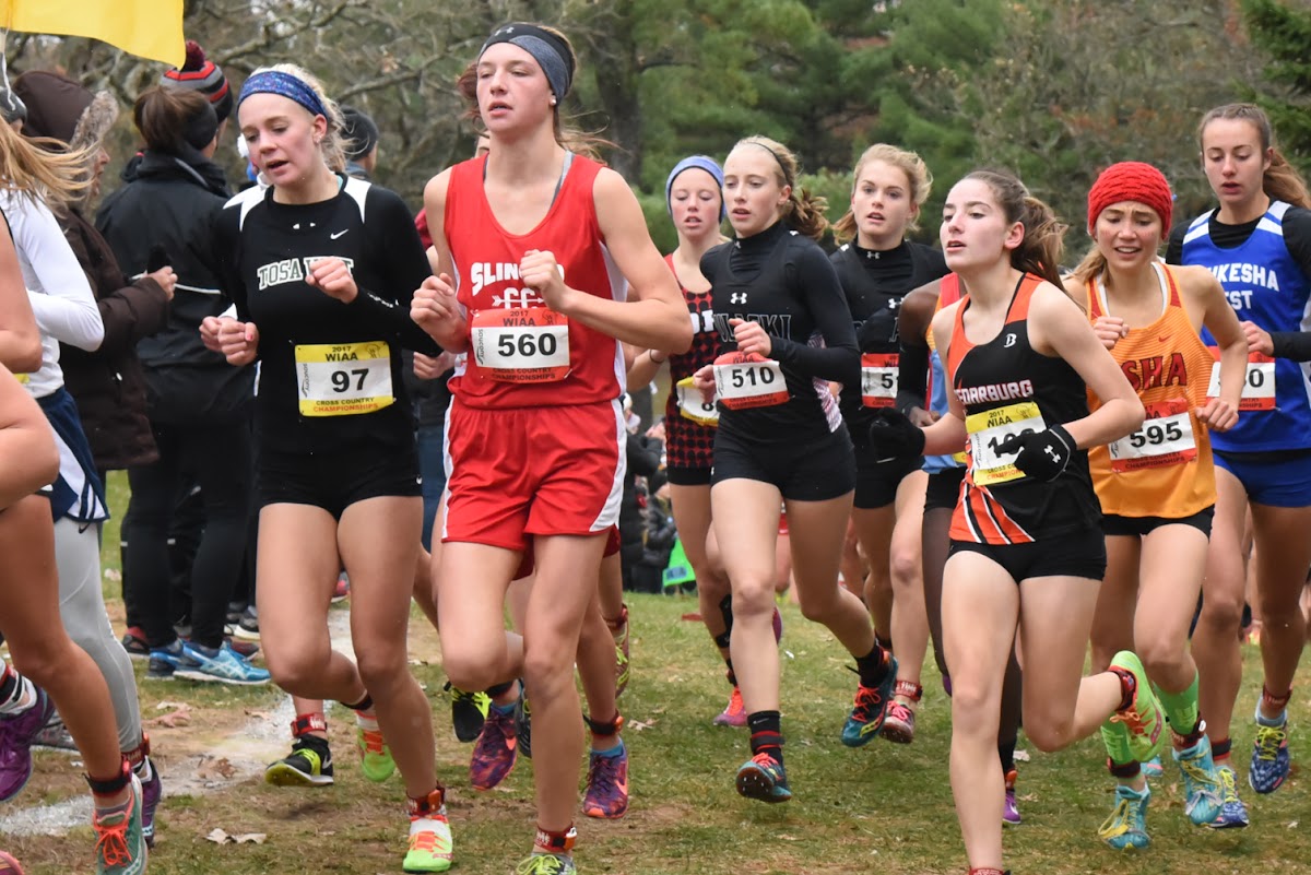 Wisconsin WIAA Cross Country State Championships Photos DSC_7968