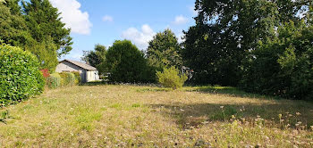 terrain à Saint-andre-des-eaux (44)