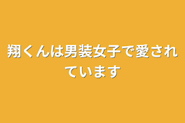 翔くんは男装女子で愛されています