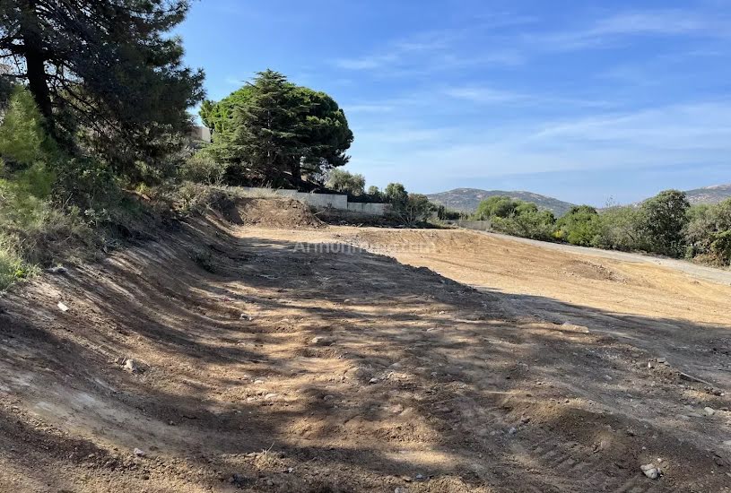  Vente Terrain à bâtir - à Calvi (20260) 