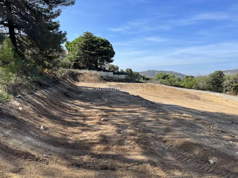 Vente terrain à batir  1378 m² à Calvi (20260), 717 600 €