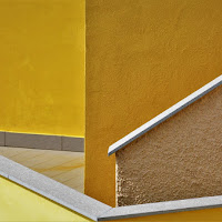 Geometrie in giallo di 