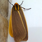 Yellow-Bordered Churinga