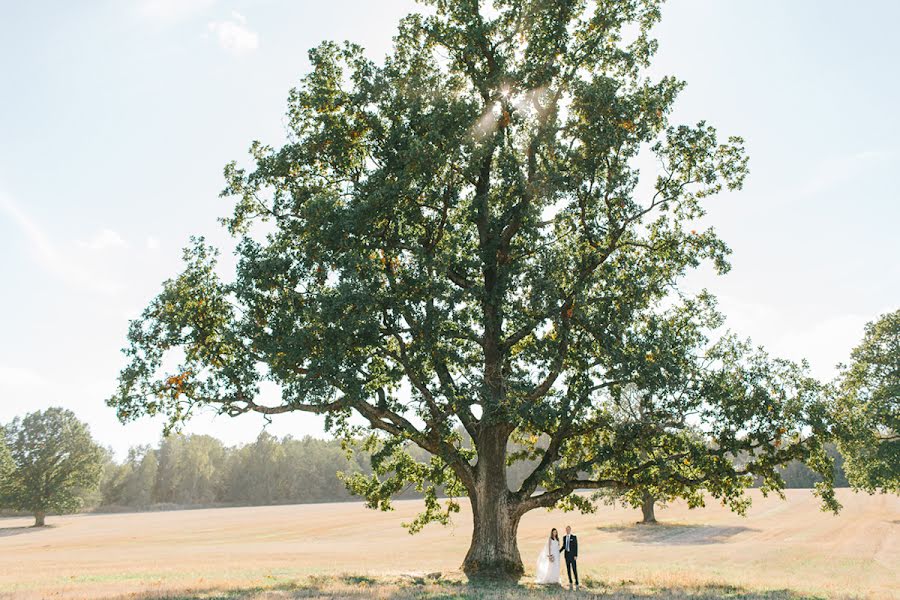 Fotógrafo de bodas Vlada Karpovich (isolation). Foto del 28 de marzo 2016