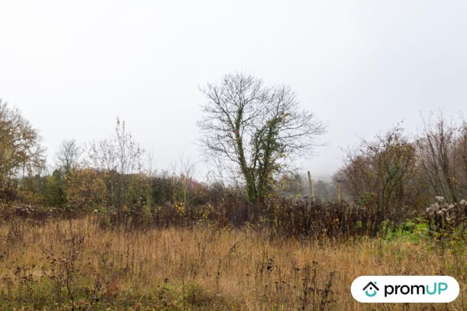 Vente terrain  4335 m² à Haraucourt (08450), 60 000 €