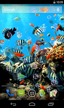 Aquarium Live Wallpaper Apps On Google Play