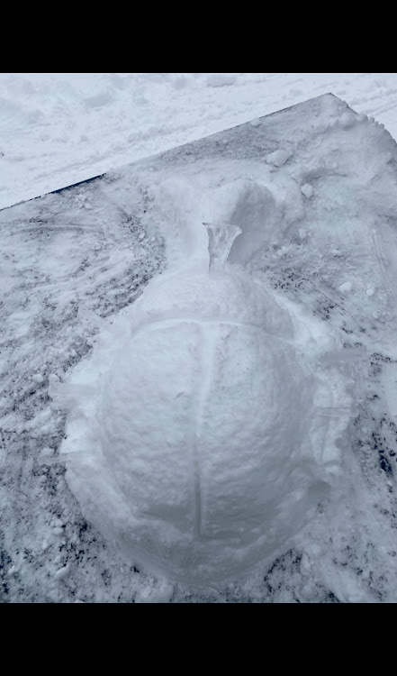 CR-Xの雪が積もったに関するカスタム事例の投稿画像3枚目