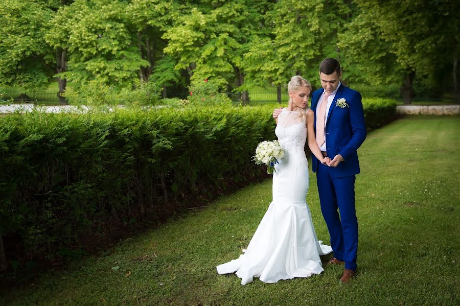 Photographe de mariage Viktoriya Nedvigina (vnphoto). Photo du 26 avril 2016