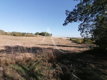 terrain à Albi (81)