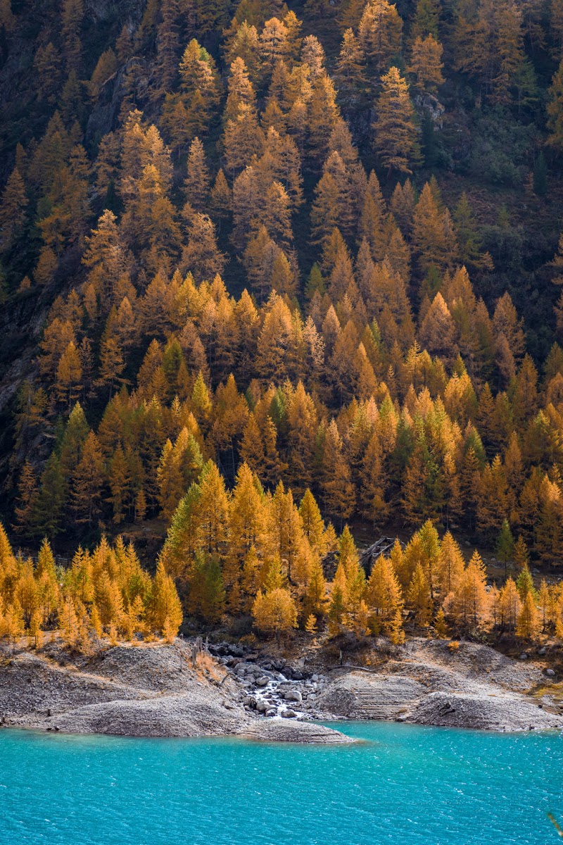 Giallo e turchese di Eli2019