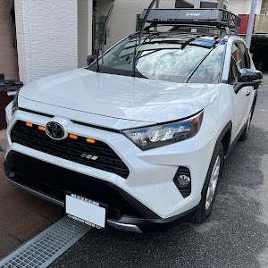 RAV4 MXAA54