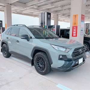 RAV4 MXAA54